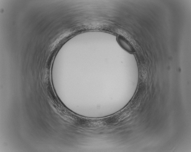 X0000070830583200607071744