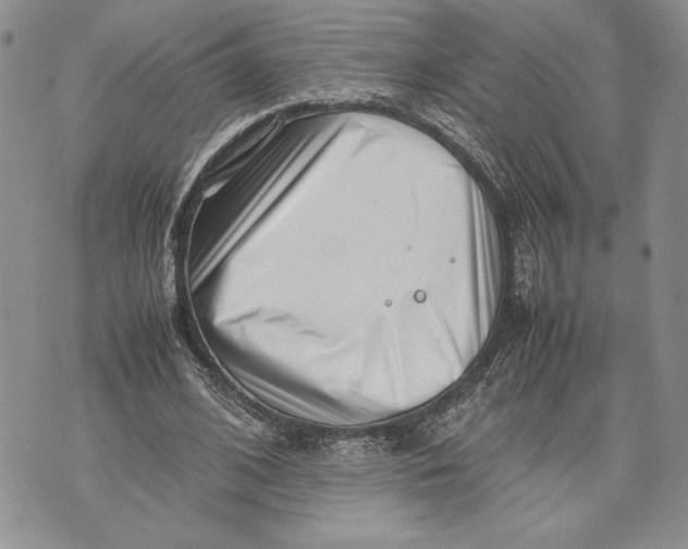 X0000070830584200607071744