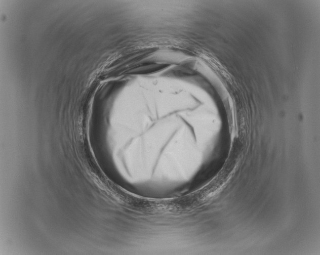 X0000070830585200607071744