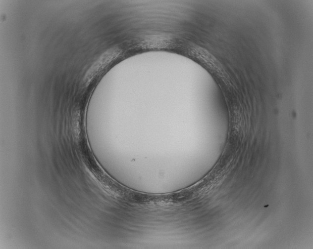 X0000070830586200607071744