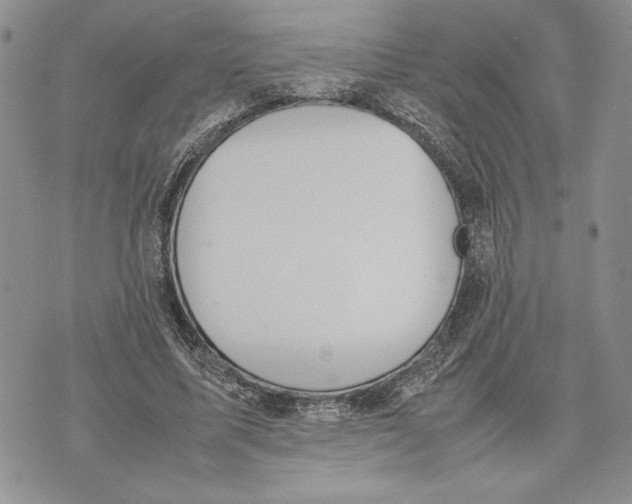 X0000070830587200607071744