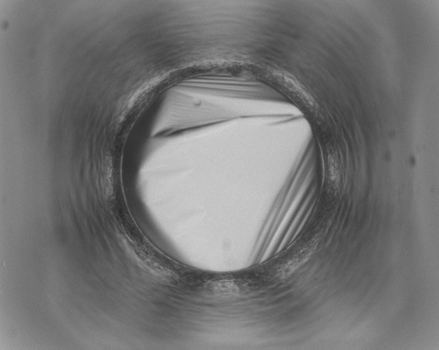 X0000070830588200607071744