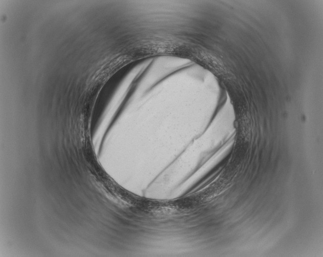 X0000070830594200607071743