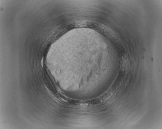 X0000070830598200607071743