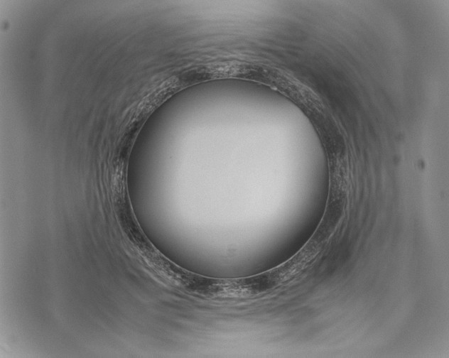 X0000070830601200607071743