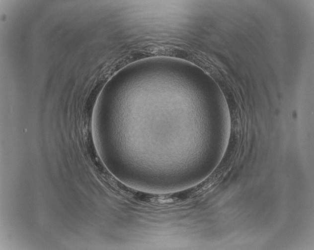 X0000070830607200607071743