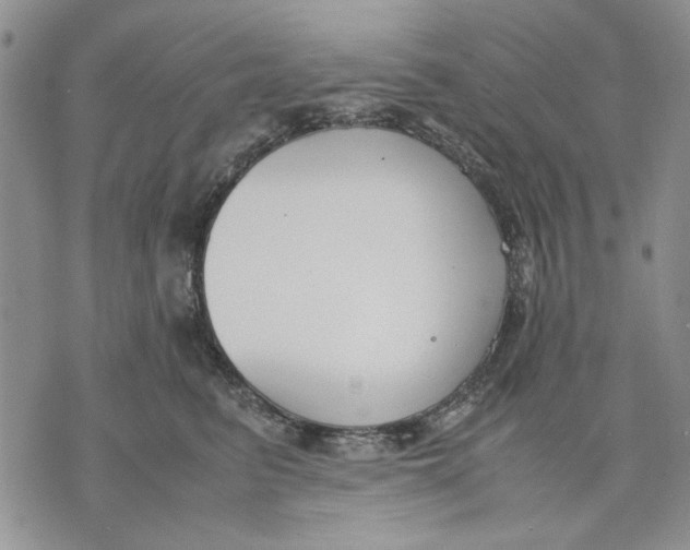 X0000070830615200607071743