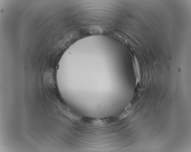 X0000070830616200607071743