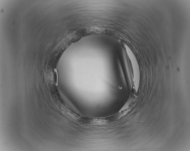 X0000070830617200607071743