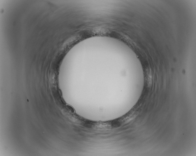 X0000070830619200607071743