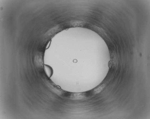 X0000070830622200607071743