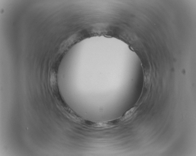 X0000070830623200607071743