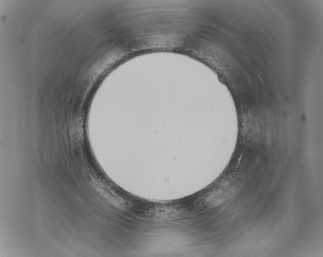 X0000070830632200607071742