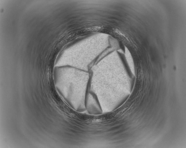 X0000070830647200607071743