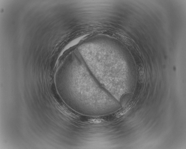 X0000070830654200607071743