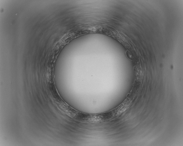 X0000070830656200607071743