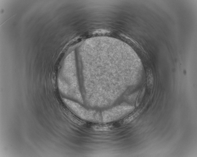 X0000070830661200607071743