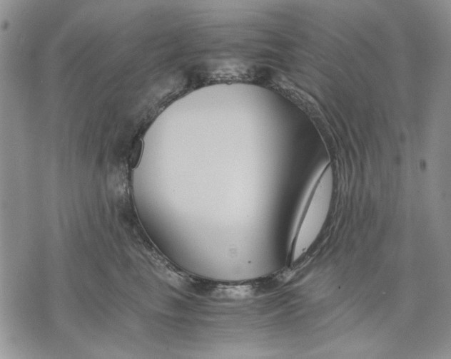 X0000070830665200607071743