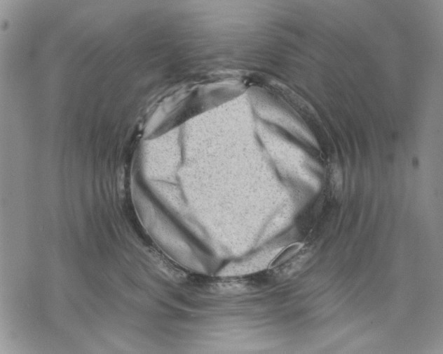 X0000070830668200607071743