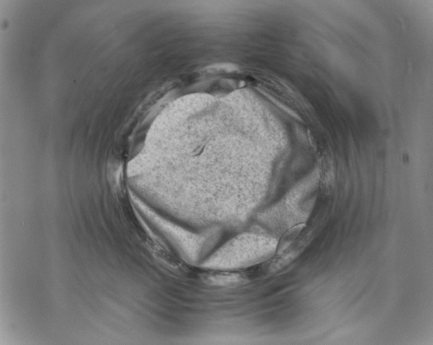 X0000070830669200607071743