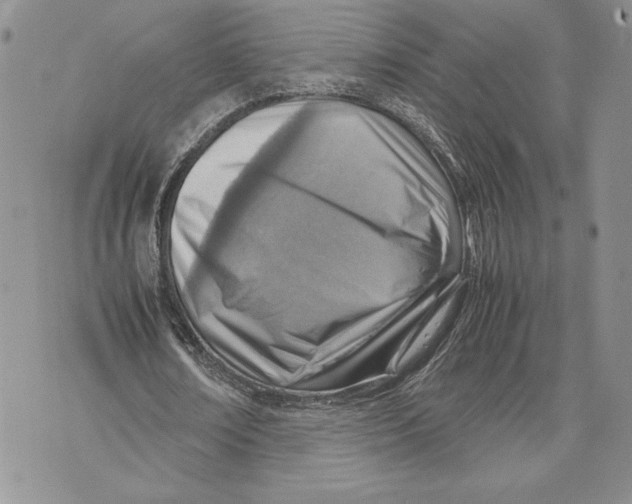 X0000070830674200607071742