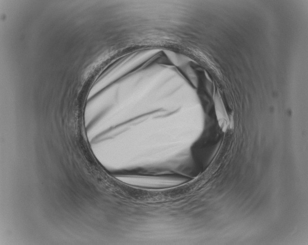 X0000070830675200607071742