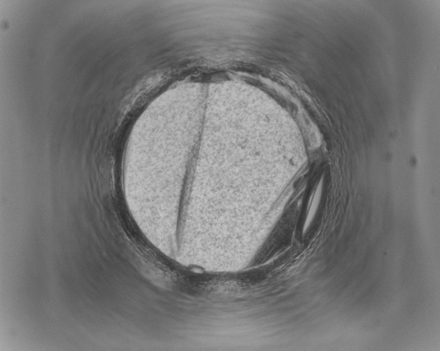 X0000070830685200607071742