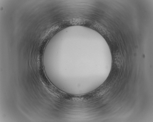 X0000070830690200607071742