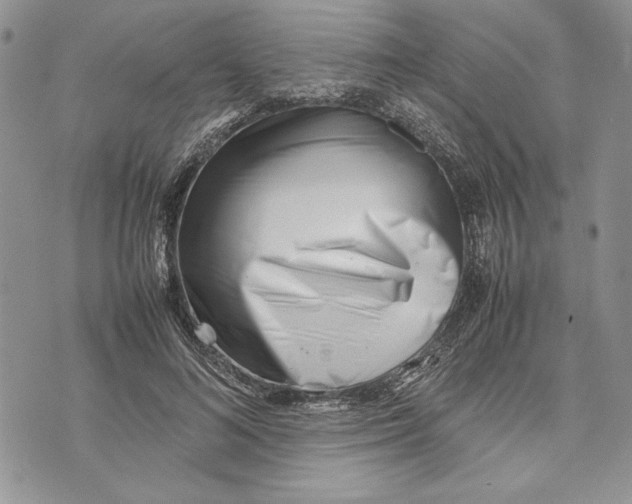 X0000070830692200607071742