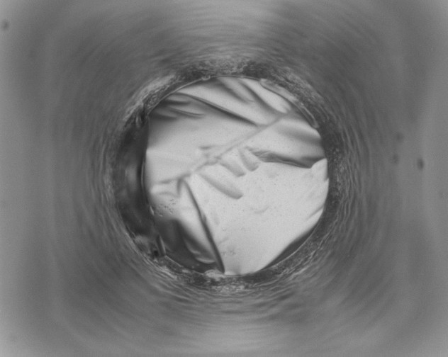 X0000070830693200607071742