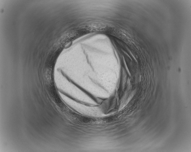 X0000070830695200607071742