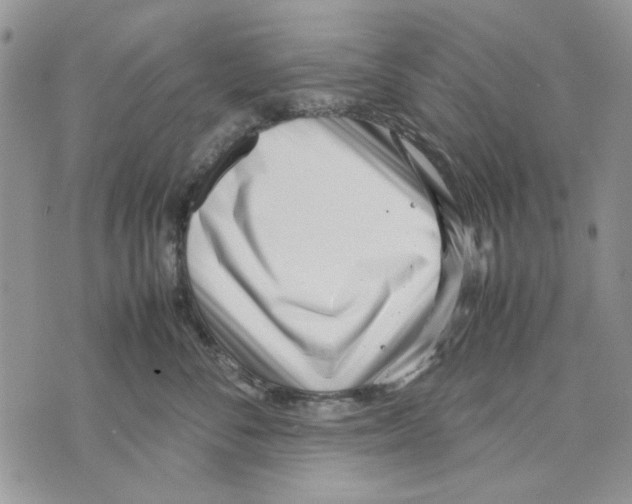 X0000070830716200607071741