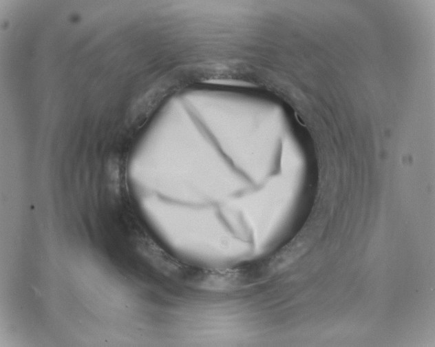 X0000070830720200607071741