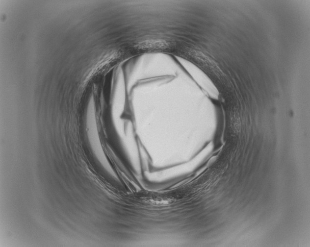 X0000070830735200607071741
