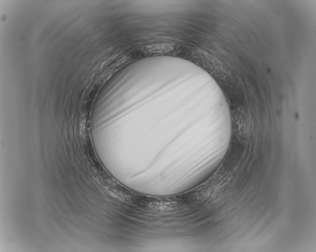 X0000070830745200607071741