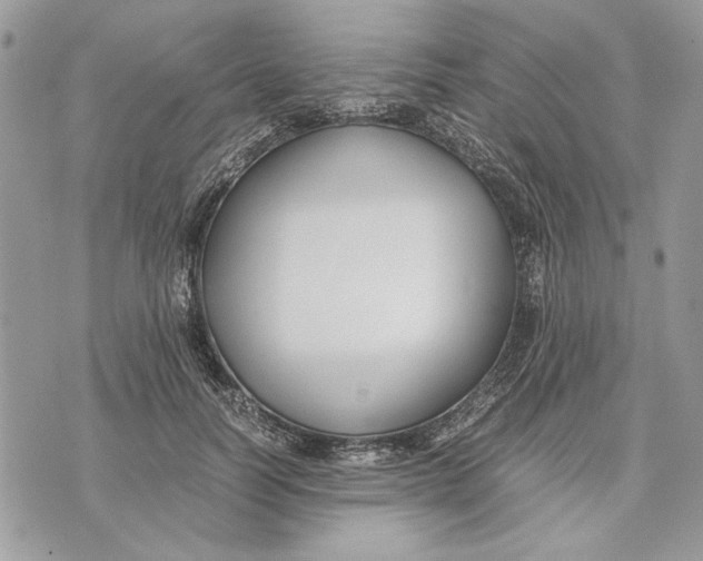 X0000070830746200607071741