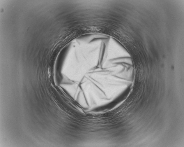 X0000070830747200607071741