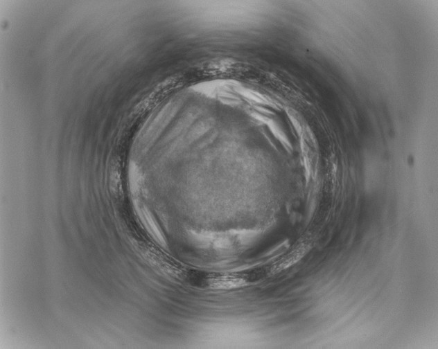 X0000070830754200607071741