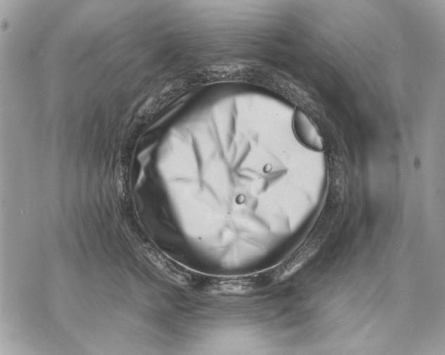 X0000070830758200607071741