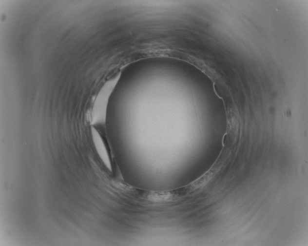 X0000070830767200607071741