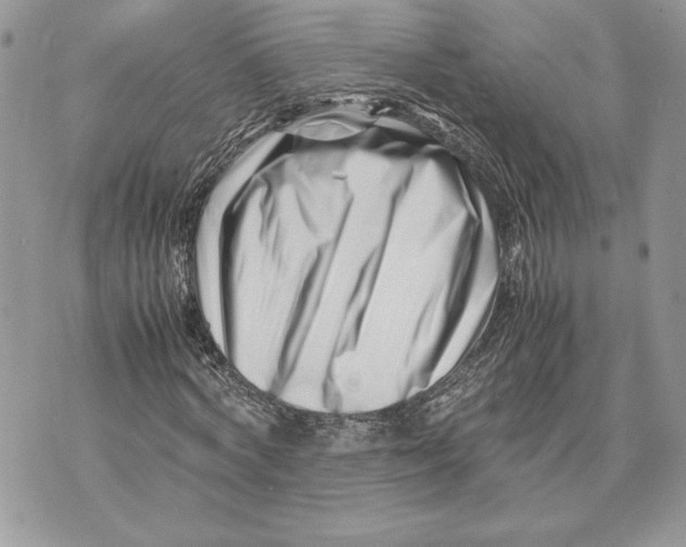 X0000070830772200607071741