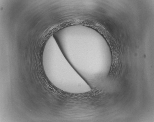 X0000070830773200607071741