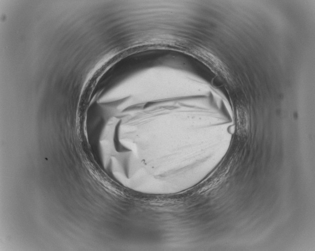 X0000070830780200607071740