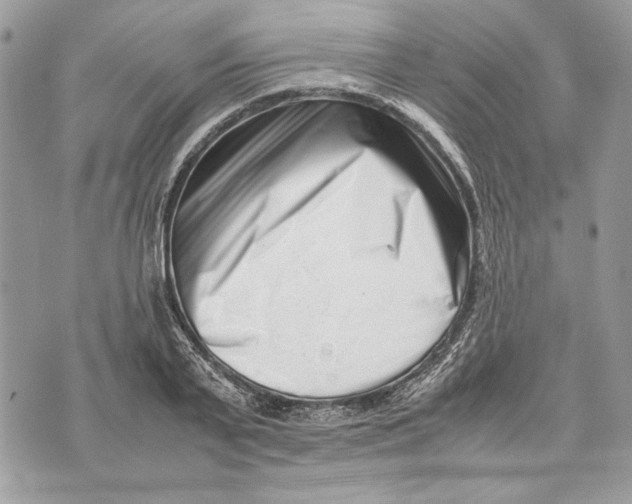 X0000070830791200607071740