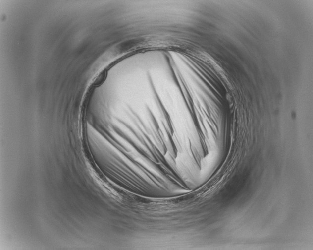 X0000070830795200607071740