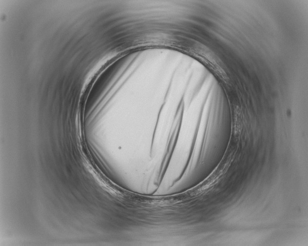 X0000070830796200607071740