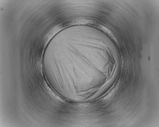 X0000070830802200607071740