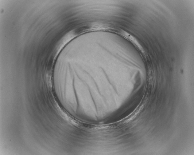 X0000070830810200607071740