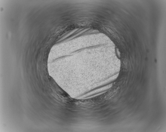 X0000070830817200607071739