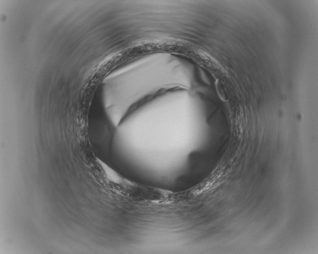 X0000070830822200607071739
